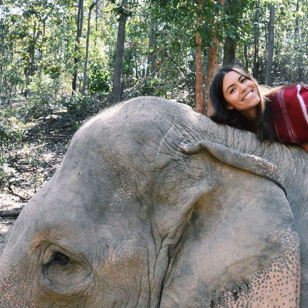 Meet your Posher, Rachel